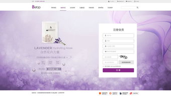 電商官網(wǎng)網(wǎng)站設(shè)計欣賞