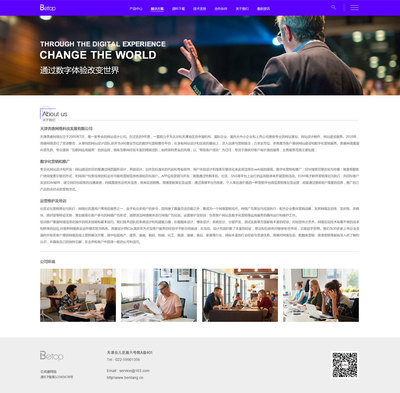 155-軟件開發(fā)網站案例