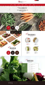 天津網(wǎng)站制作 奔唐網(wǎng)絡之綠色養(yǎng)生食品官網(wǎng)